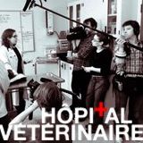 299732_474157755982580_1382337718_a