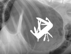 Entête conf urgence