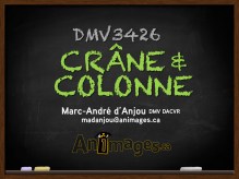 TEMPLATE-DIAPO-FRONT CRANE-COLONNE