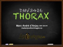 TEMPLATE-DIAPO-FRONT