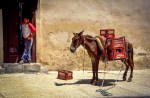 Maroc 1994_MADphotographie_09