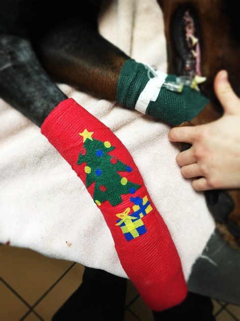 Bandage pour noel