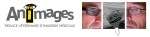 ANIMAGES entête blanche&nbsp;1