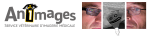 ANIMAGES entête blanche&nbsp;1