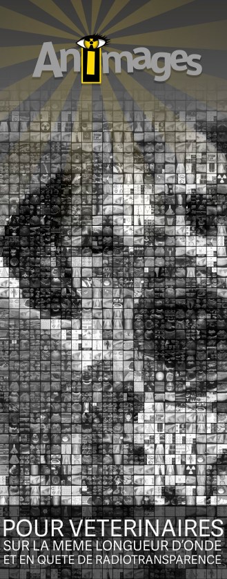 Bannière verticale Animages 2016_FINAL reduite