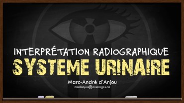 TEMPLATE-DIAPO-TITRE ANIMAGES 2017_radio urinaire