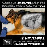 L’essentiel est invisible pour les&nbsp;yeux_A_v4